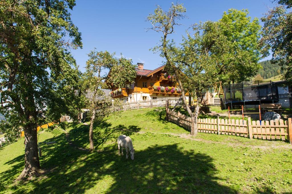 Appartements Lehenhof Sankt Johann im Pongau Εξωτερικό φωτογραφία
