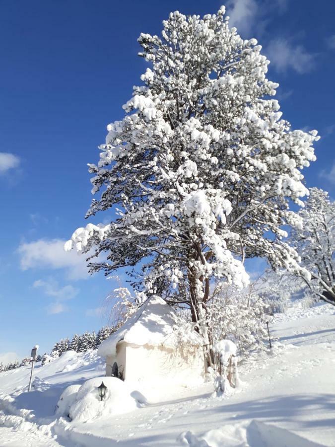 Appartements Lehenhof Sankt Johann im Pongau Εξωτερικό φωτογραφία