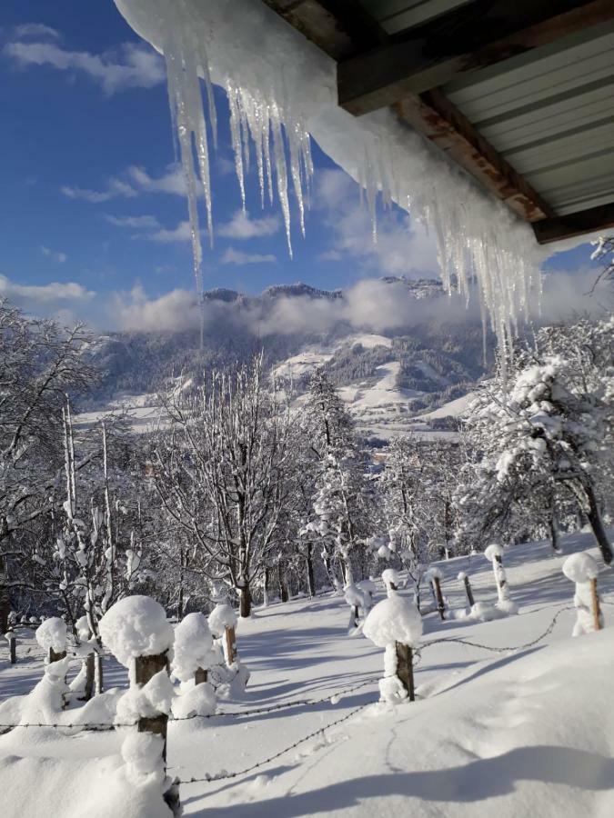 Appartements Lehenhof Sankt Johann im Pongau Εξωτερικό φωτογραφία